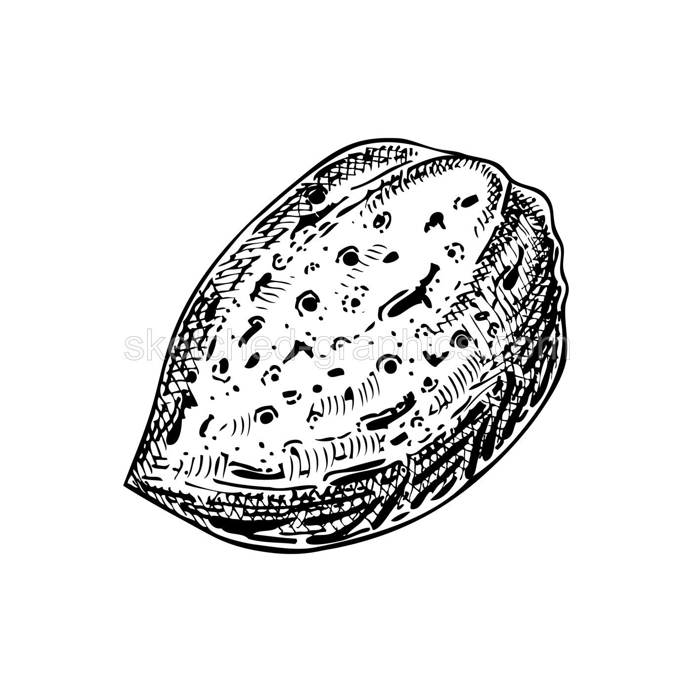 Almond nutshell sketch.  Hand-drawn vector illustration. Vintage nut, cosmetics ingredient, healthy food drawings. Botanical design element in engraved style for label and packaging. Illustration